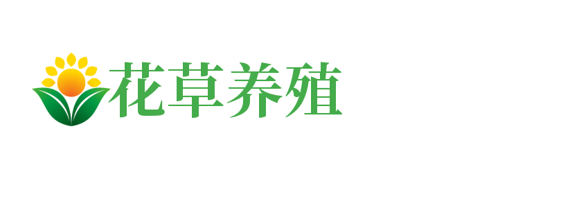 河南省南阳市桐柏县房套续声讯系统有限责任公司,包头河南省南阳市桐柏县房套续声讯系统有限责任公司